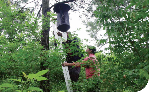 林业有害生物信息化管理平台操作手册