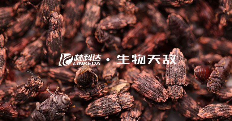 生物天敌